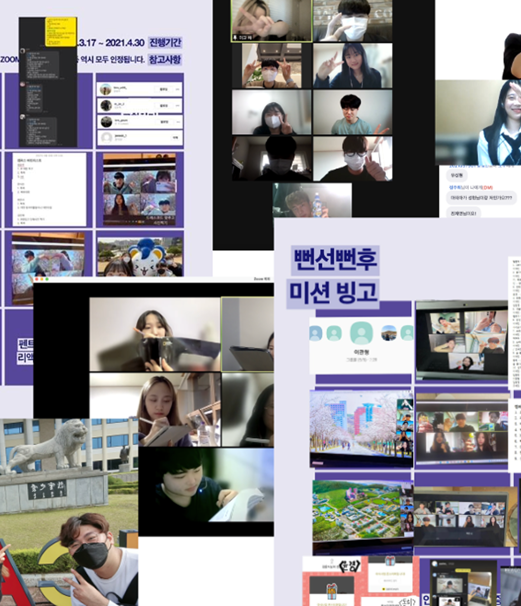 Vice President, Student Council, HYU